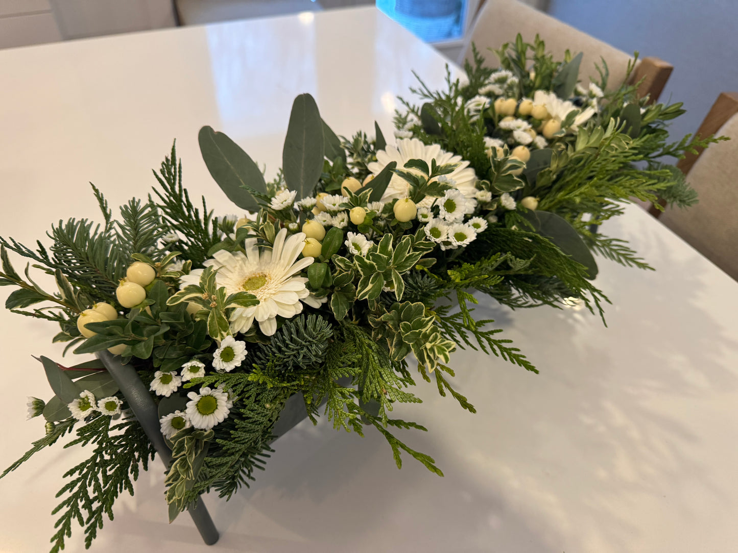 Green Trough with Winter Greens & White Gerber Daisies