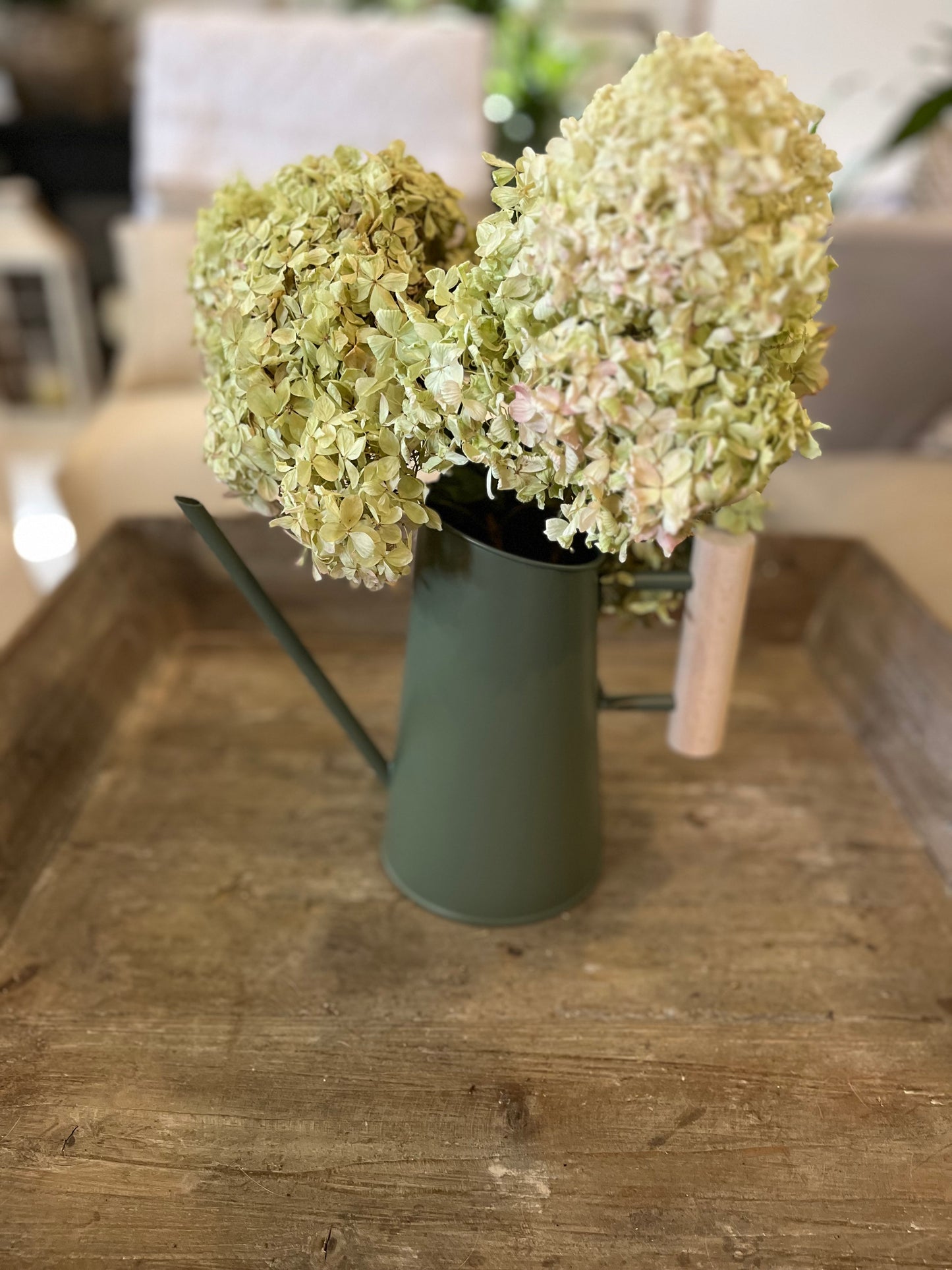 Green Watering Can