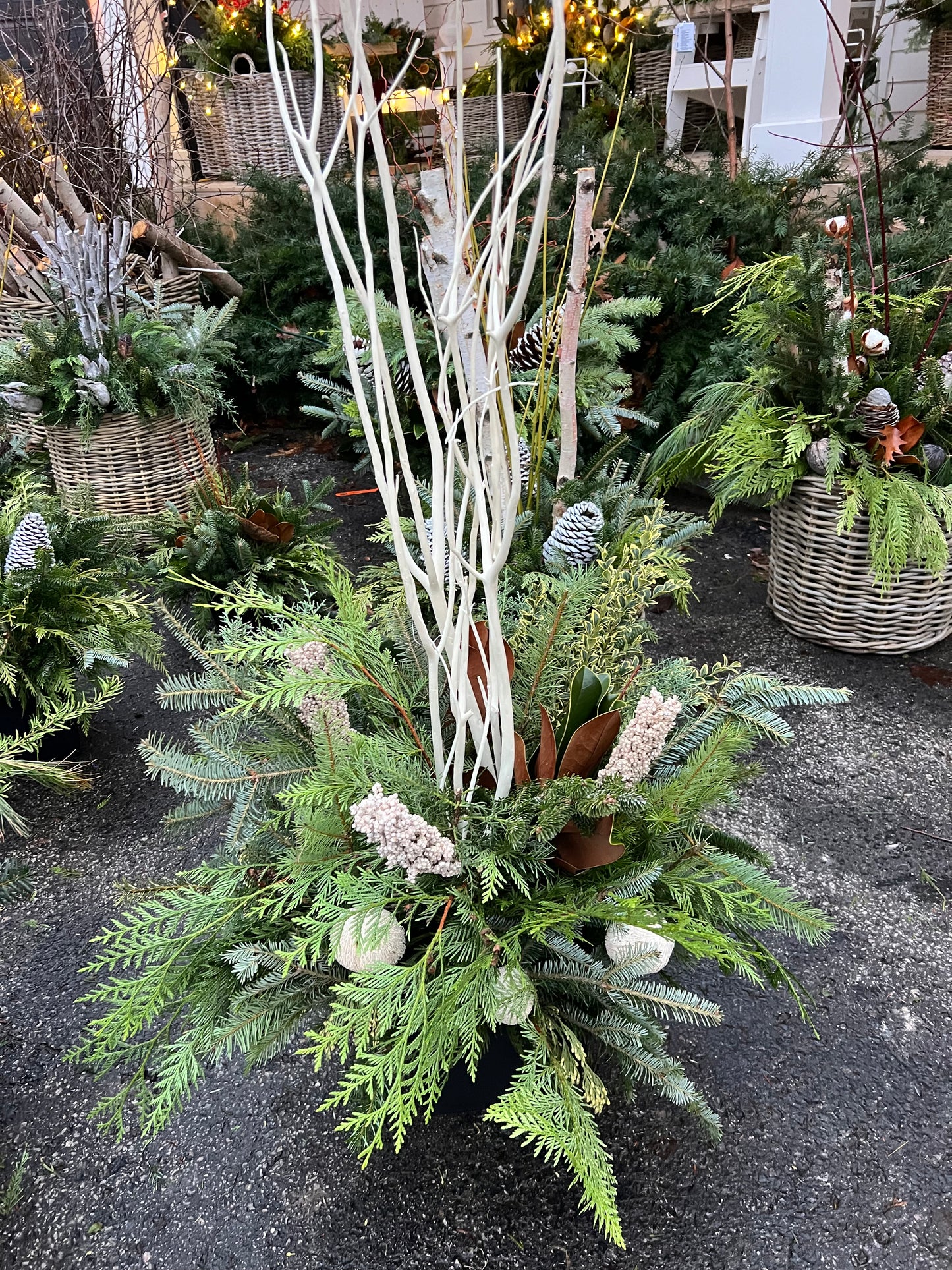 Winter Containers Workshops