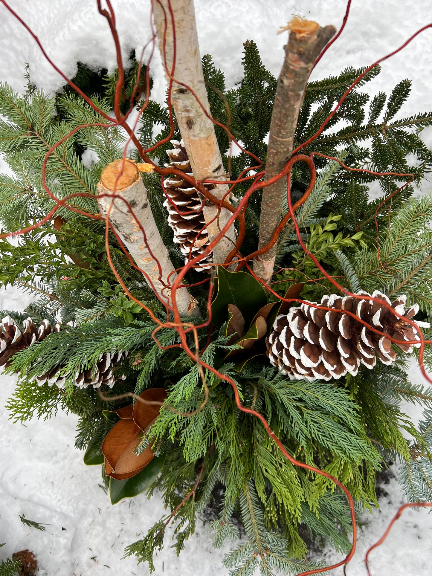 Winter Containers Workshops