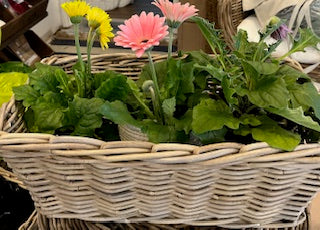 Rectangular Tapered Basket Tray