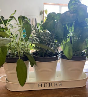 Herb Planter