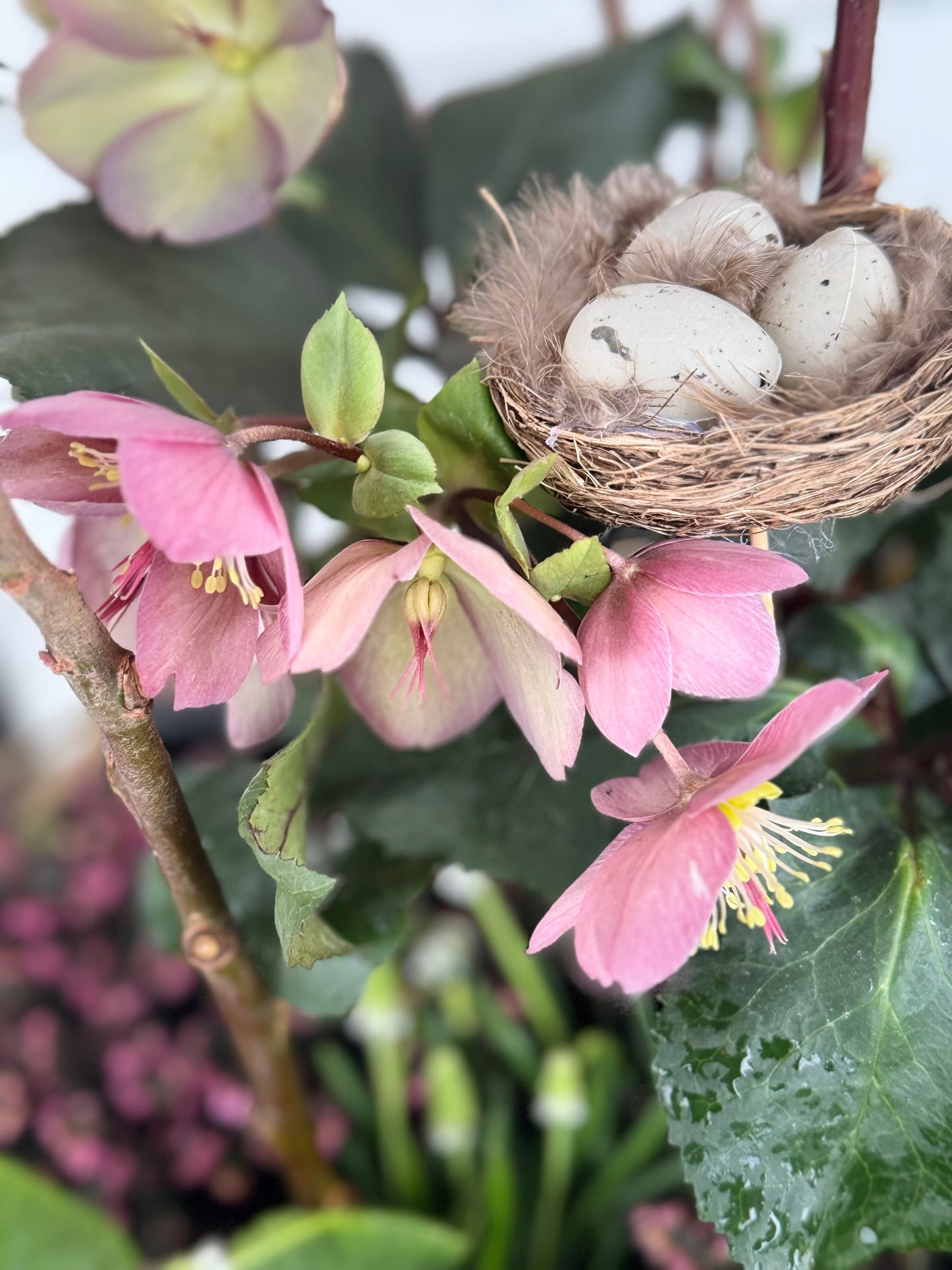 Easter Arrangement Workshop