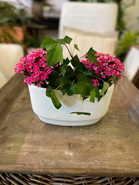 Centrepiece White Oval Bowl