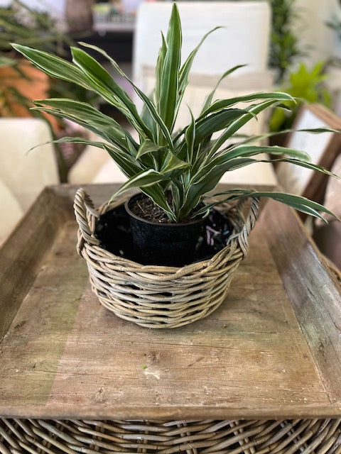 Medium Lined Basket