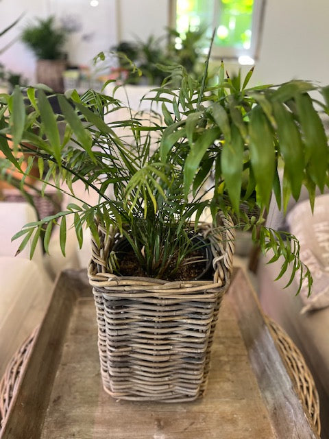 Small Square Rattan Basket