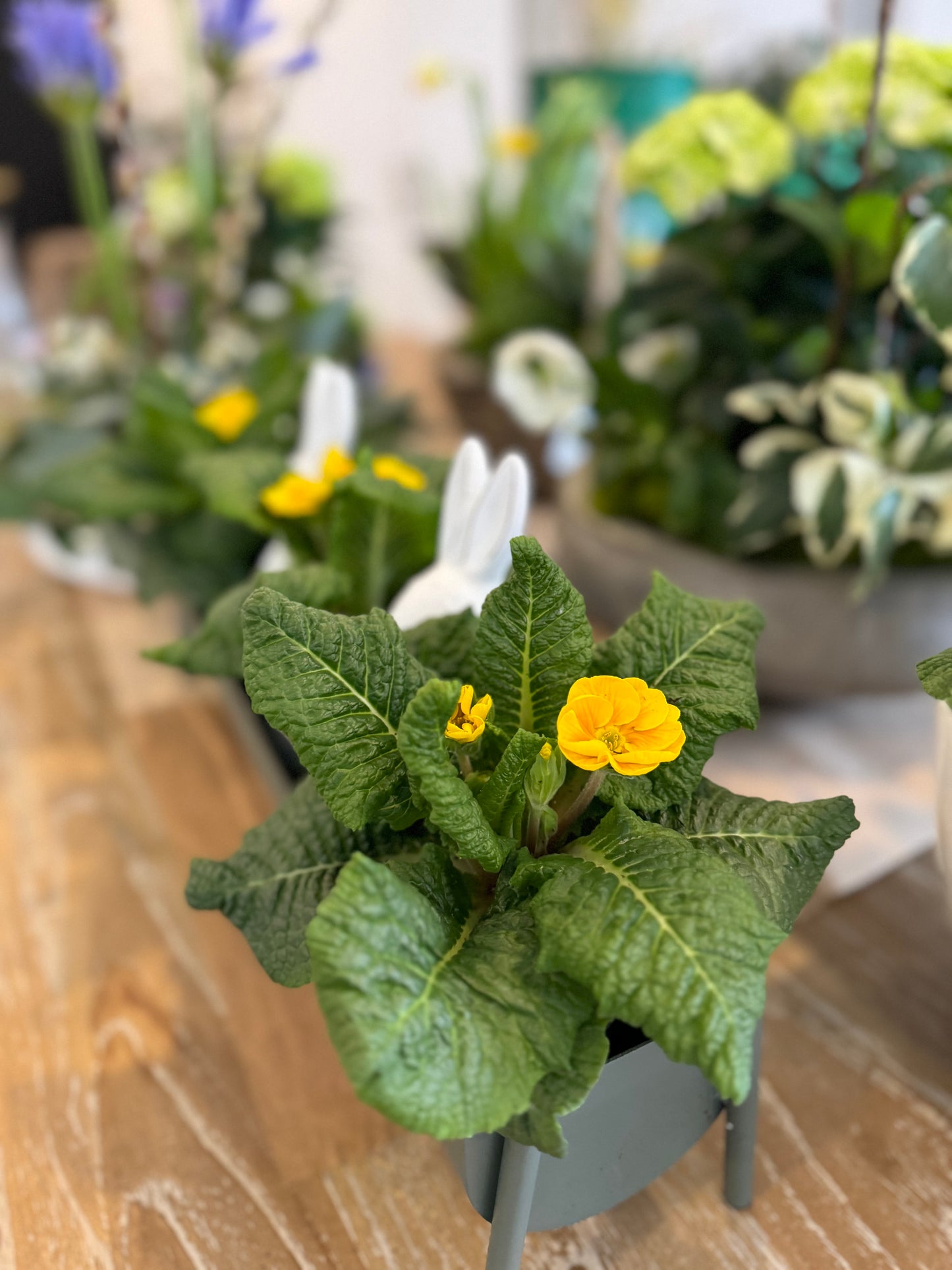 Easter Arrangement Workshop- Saturday, April 12, 2025 @ 11:00 am-1:00 pm