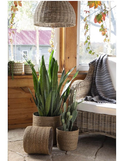 Seagrass Plant Baskets