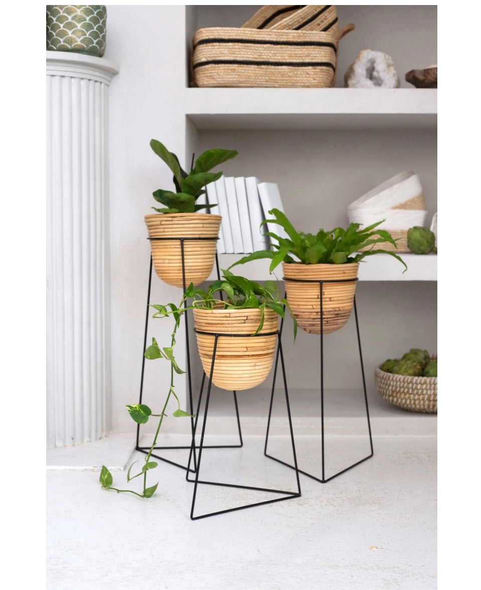 Rattan Plant Baskets in Black Stands