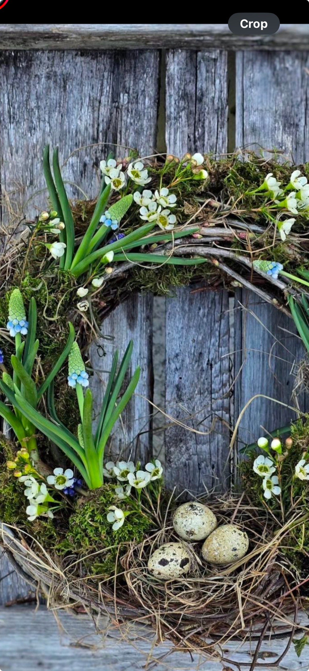Spring Wreath or Door Basket Workshop- Saturday, May 24, 2025 @ 11:00 am- 1:00 pm