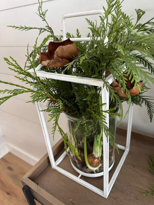 White Lantern with Greenery and Paper Lilies bulbs