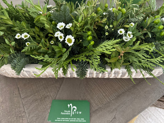 Winter Greenery With Pretty White Little Flowers