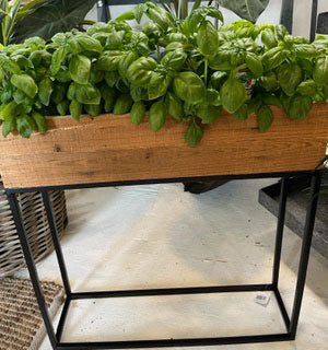 Black window box plant stand