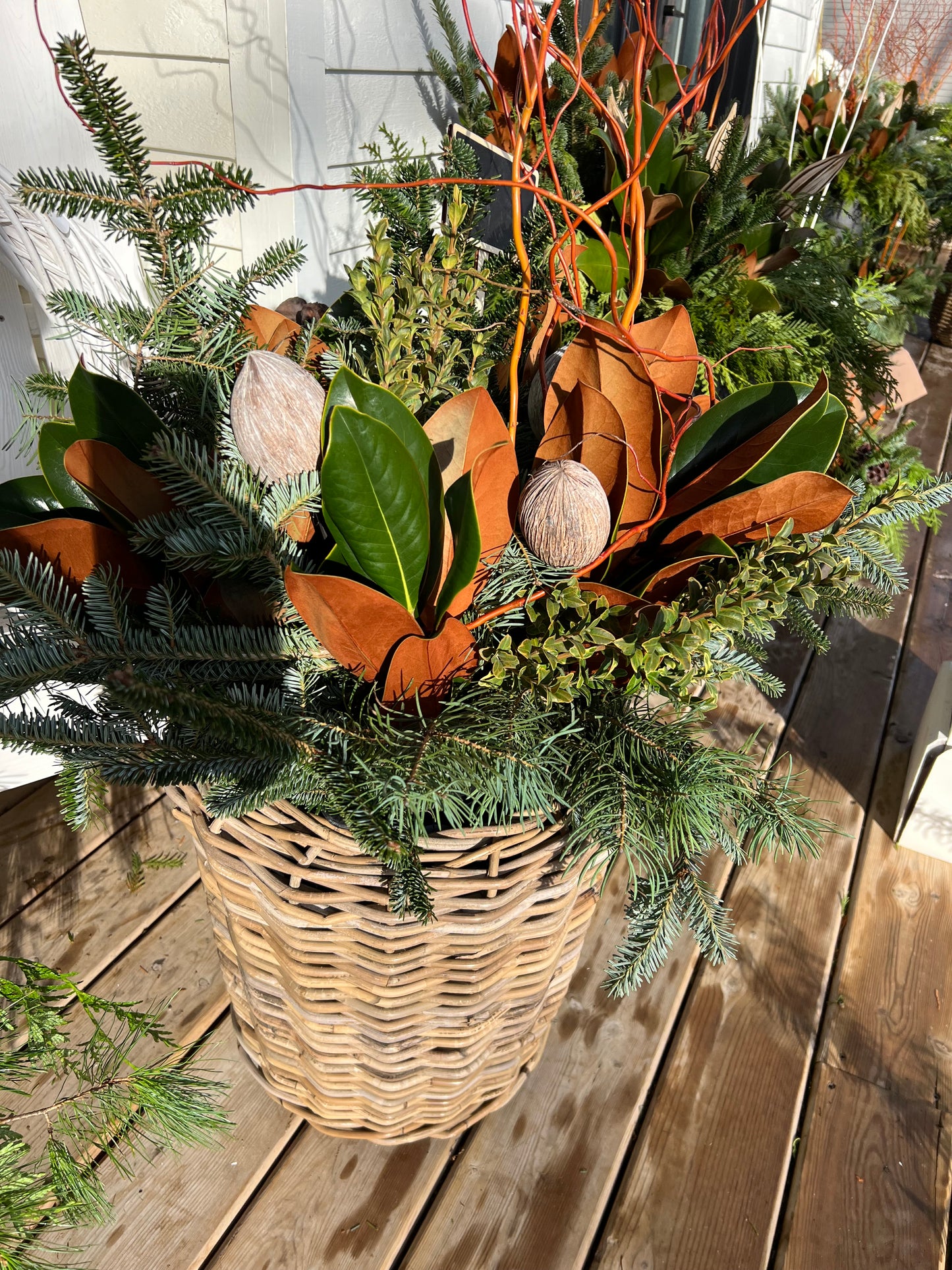 Wreath Making and/or Winter Container Workshop-Saturday, November 9th, 2024