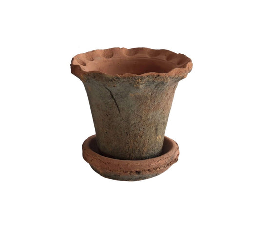 Frilly Edge Terra Cotta Pot With Saucer