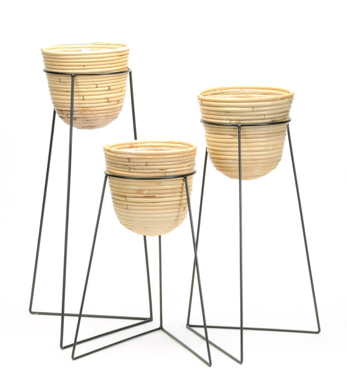 Rattan Plant Baskets in Black Stand