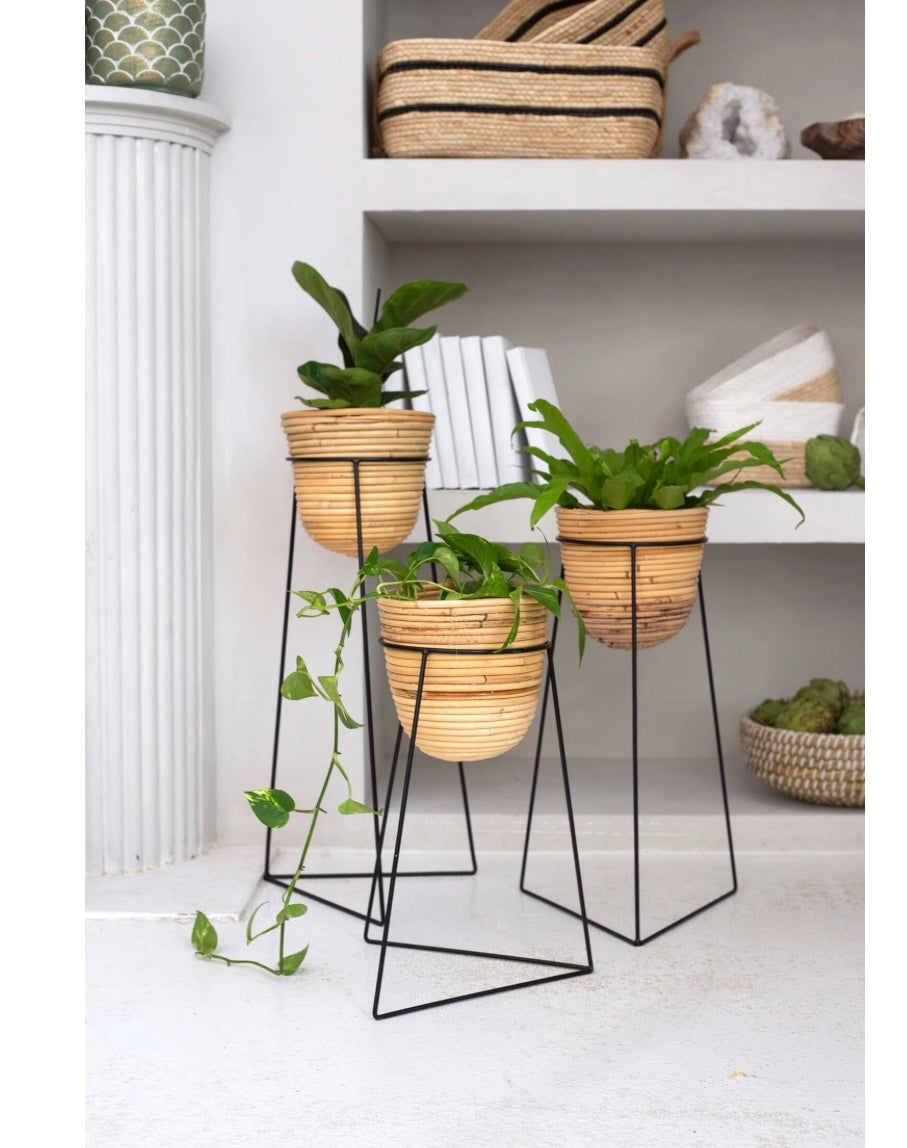 Rattan Plant Baskets in Black Stand